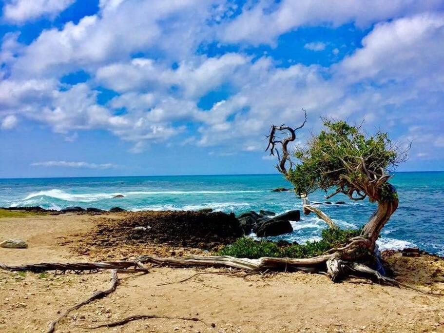 Aruba Condo The Pearl - At Eagle Beach - Minute Walk! Palm Beach Buitenkant foto