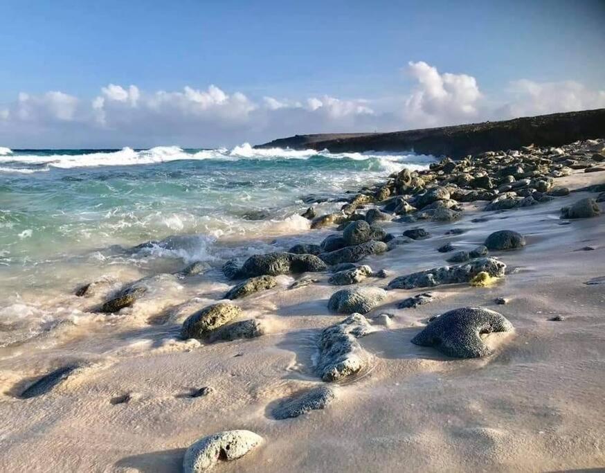 Aruba Condo The Pearl - At Eagle Beach - Minute Walk! Palm Beach Buitenkant foto